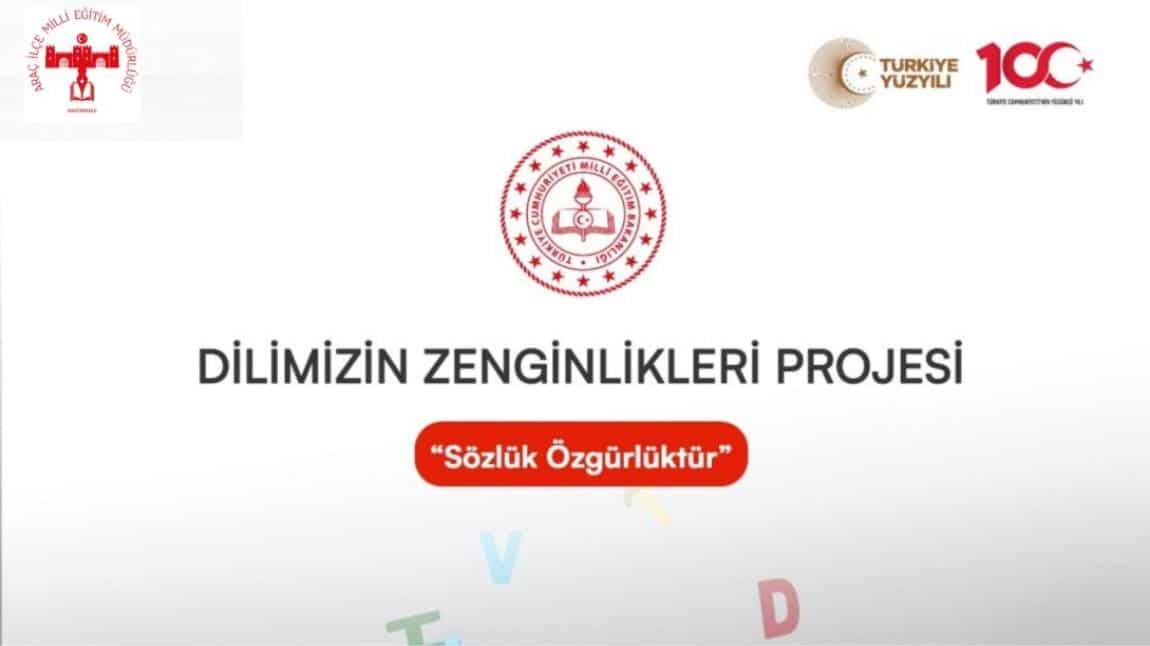 DİLİMİZİN ZENGİNLİKLERİ PROJESİ